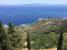 Giglio