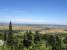 panorama_original
