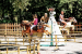 cavallinomatto201_original